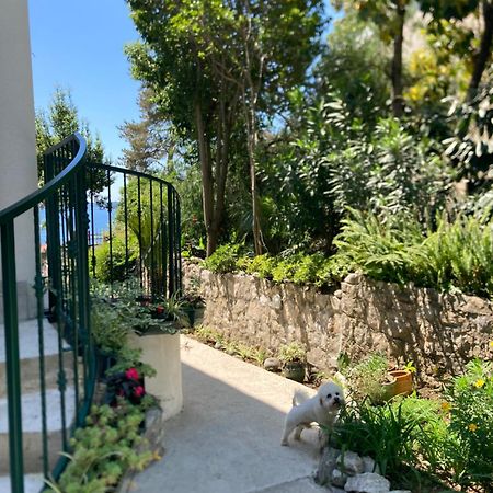 Apartments Milicevic Herceg Novi Exteriér fotografie