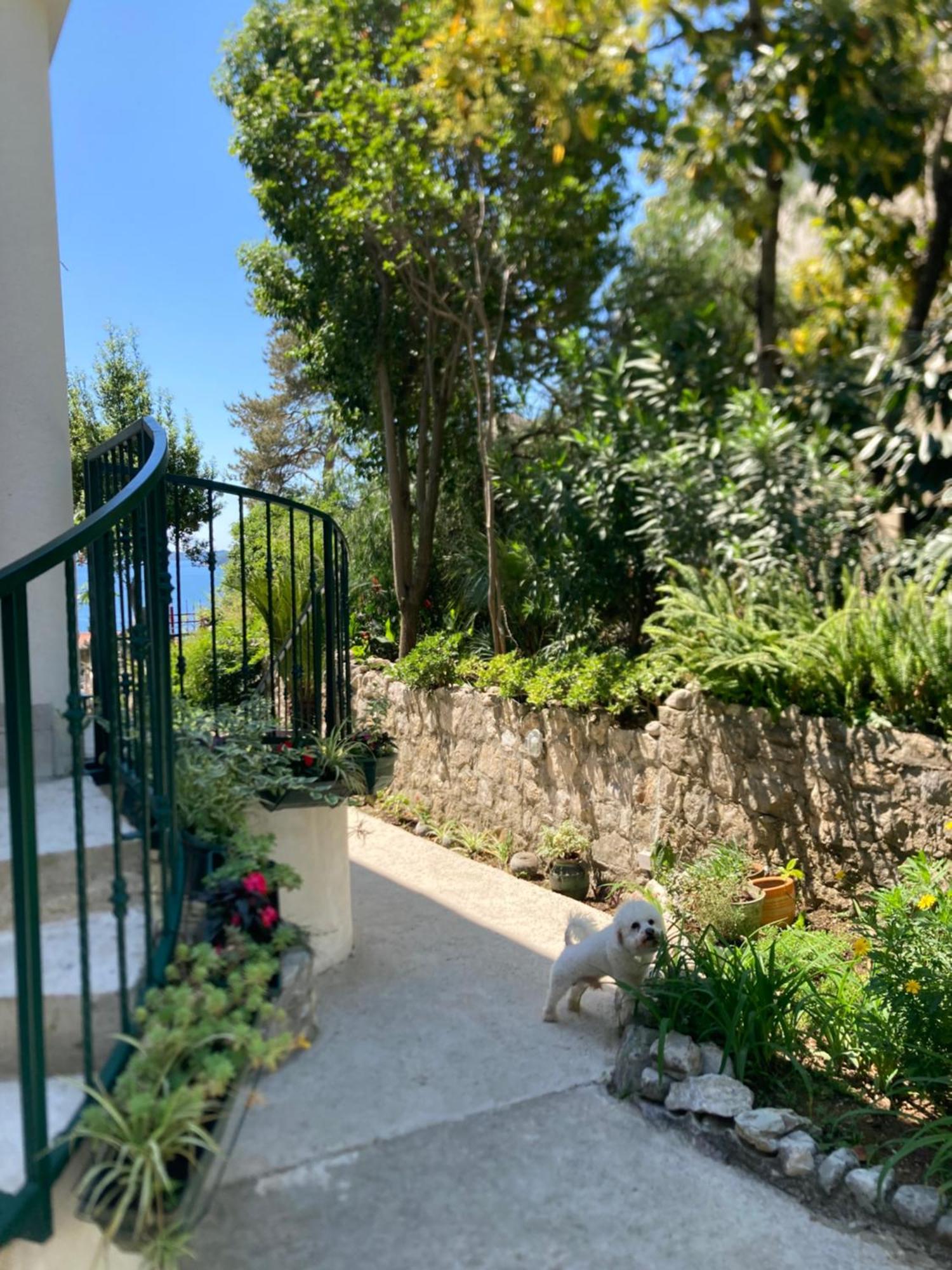 Apartments Milicevic Herceg Novi Exteriér fotografie